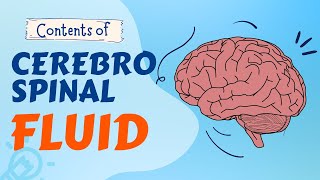 WHAT IS CEREBROSPINAL FLUID MADE UP OF [upl. by Ahtiekahs692]