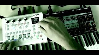 StolenChordsFromIris  Little Electro Jam with Freds Lab Manatee Synth  Midicake Arp Sequencer [upl. by Vallery12]