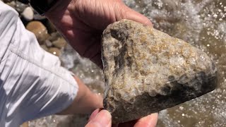 Secret Access to Petoskey Stones in Petoskey Michigan  Tannery Creek Trailhead [upl. by Karney95]