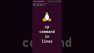 910 Basic Linux Commands  cp command in linux shorts linux linuxcommands [upl. by Doehne4]