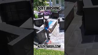 softwash softwashing softwashingservice sesw pressurewash pressurewashing exteriorcleaning [upl. by Iaw]