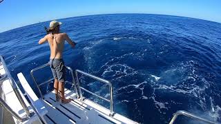 Exmouth to Broome Marlin Mayhem [upl. by Ottie]