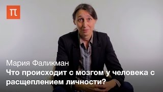 Мария Фаликман курс quotПроблема сознания и мозга в когнитивной наукеquot [upl. by Thissa]