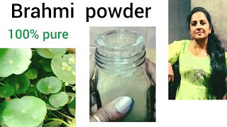 How to make Brahmi powder at homebenefits of Brahmisudhasadana purebrahmipowdermedicinalvalues [upl. by Dehlia]