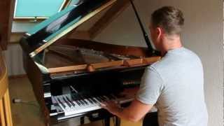 Evanescence  My Immortal Benedikt Waldheuer Piano Cover [upl. by Ertha]