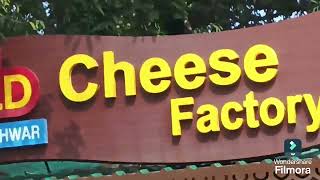 Cheese factory and its products MahabaleshwarIndia [upl. by Ogden]