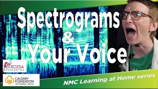 NMC Learning at Home Spectrograms amp Your Voice [upl. by Sands724]