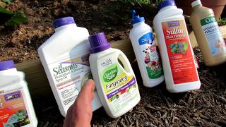 4 Common Mistakes Made When Managing Fungal Diseases in the Garden Overview of 6 Basic Fungicides [upl. by Harland]