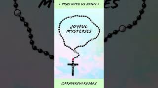 Todays Daily Rosary JOYFUL MYSTERIES Monday Rosary 🌹 JULY 24 2023 🌹 [upl. by Elo]