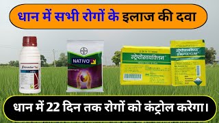 Bayer Nativo Fungicide  Syngenta Amistar Top Fungicide  Streptocycline Antibiotic  dhan ki kheti [upl. by Bala]