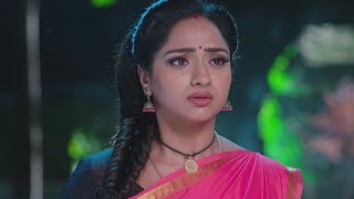 Trinayani Serial Today New Episode 12112024 Full VideoTrinayani Serial Today New Episode [upl. by Ibbie240]