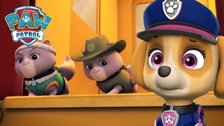 ¡Los cachorros del rescate máximo salvan a los Gatitos Reales  PAW Patrol Episodio Español [upl. by Sharos]