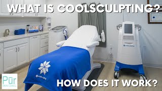 WHAT IS COOLSCULPTING AND HOW DOES IT WORK  Freeze Away Body Fat  PUR SKIN CLINIC [upl. by Trabue875]