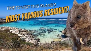 ROTTNEST ISLANDS MOST FAMOUS RESIDENT [upl. by Namruht877]