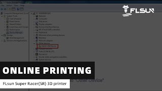 FLsun SR—Online printing [upl. by Ehsrop704]