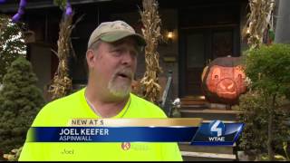 Giant pumpkin holds court on Aspinwall porch [upl. by Reinhold]