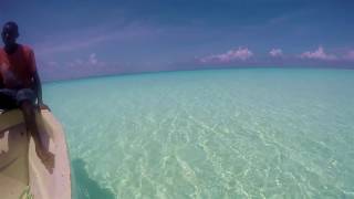 A Day in Mnemba Island Zanzibar waters [upl. by Nanyt]