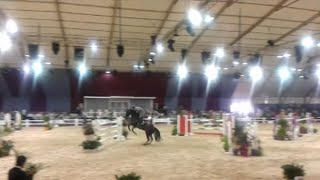 salon de cheval del jadida 2014 [upl. by Louls]