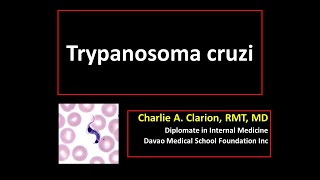 Trypanosoma cruzi [upl. by Enelyak]