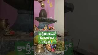 Day 5 Karthikamasam panchami tithi importance👆కార్తీకమాసం పంచమి తిథి👍 విశిష్టత తెలుసుకుందాం రండి🙏 [upl. by Vel]