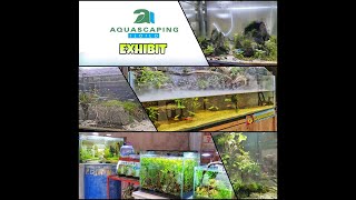 Aquascaping Iloilos Planted Aquarium Exhibit  City Time Square Iloilo [upl. by Annairda]