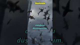 En Kötü Köpek Balığı Filmleri shark sharkmovie shorts [upl. by Gensmer]