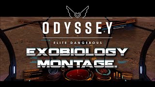 Elite Dangerous Odyssey  Exobiology Montage [upl. by Eicnarf]