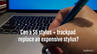 13 Can a 6 stylus and a trackpad replace an expensive stylus [upl. by Bolitho]