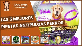 Pipetas antipulgas perros las 5 mejores que hay en amazon [upl. by Eri429]