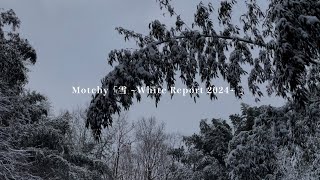 『雪White Report 2024』Motchy [upl. by Stauder]