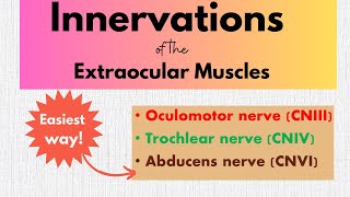 Innervations of the extraocular muscles [upl. by Yahsat]