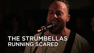 The Strumbellas  Running Scared  First Play Live [upl. by Imik]