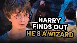 Harry Finds Out Hes a Wizard  Philosophers Stone [upl. by Yevreh]