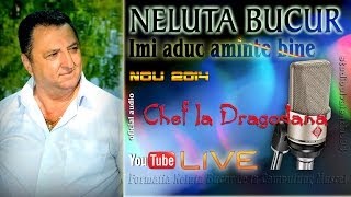 NELUTA BUCUR  Imi aduc aminte bine live audio [upl. by Archie588]