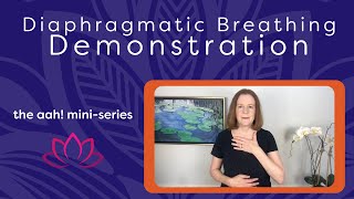 Diaphragmatic Breathing Demonstration [upl. by Efrem]