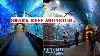 Shark Reef Aquarium  Mandalay Bay  Las Vegas [upl. by Atsillak603]