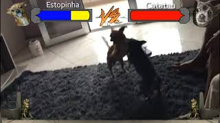 Estopinha x Catatau Kombat [upl. by Suiluj]