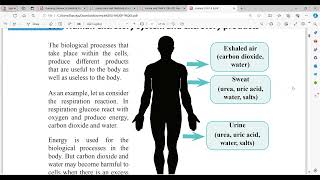 Grade 8 Science June class 01 Part 1 [upl. by Eiliah]