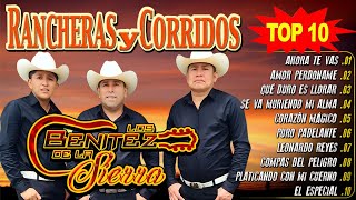 LOS BENITEZ DE LA SIERRA  Las éxito Corridos y Rancheras Mix [upl. by Enortna402]