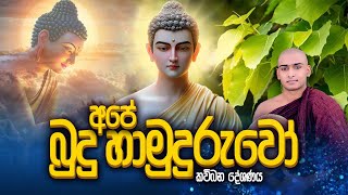 අපේ බුදුහාමුදුරුවෝ🌸කවිබනසම්බුදු හිමියන්Kavi banaMathale Sumangala Himi [upl. by Ecyt]