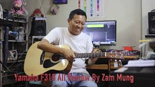 Yamaha F310 AII Acoustic Guitar Review By Zam Mung [upl. by Adnawat483]