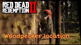 Perfect woodpecker carcass location  red dead redemption 2 [upl. by Nereil]