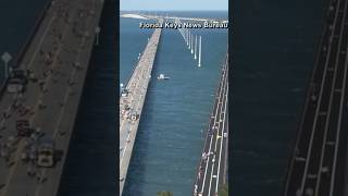 Annual Seven Mile Bridge Run held in Florida Keys shorts shortsvideo [upl. by Ensoll983]