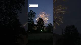 Results trazodone  gabapentin during July 4 fireworks dogcare doglove foxhound [upl. by Honniball]