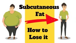 What Is Subcutaneous Fat and How to get rid of Subcutaneous Fat [upl. by Breena]