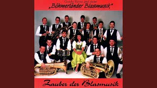 Böhmerländer KlarinettenPolka Solo f 3 Klarinetten [upl. by Hsital126]