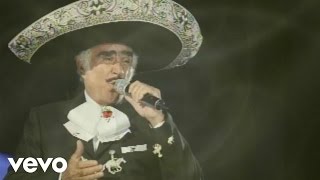 Vicente Fernández Mariachi México de Pepe Villa  Aprendiste A Volar Audio [upl. by Clements]