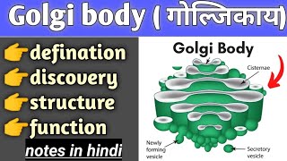 golgi body structure and function in hindi cell biology bsc biology [upl. by Ly]