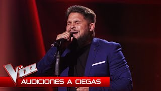 Salvador Rodríguez canta quotNuestros sueñosquot  Audiciones a Ciegas  La Voz Antena 3 2024 [upl. by Brace]