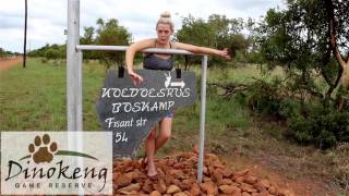 KoedoesRus Bush Camp  Dinokeng Game Reserve  Gauteng [upl. by Ergener]